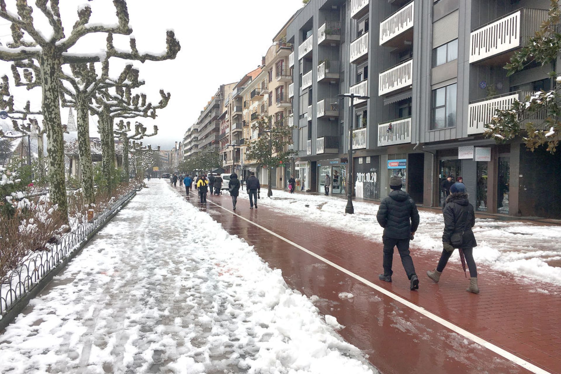 Udalak elurteen protokoloa abian jarri du