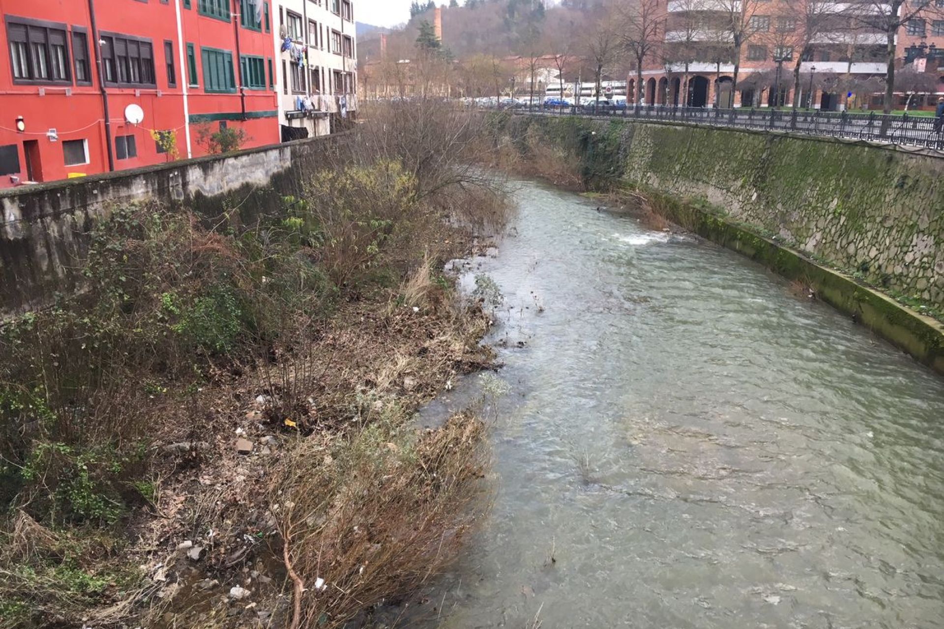 Jornada de limpieza del río