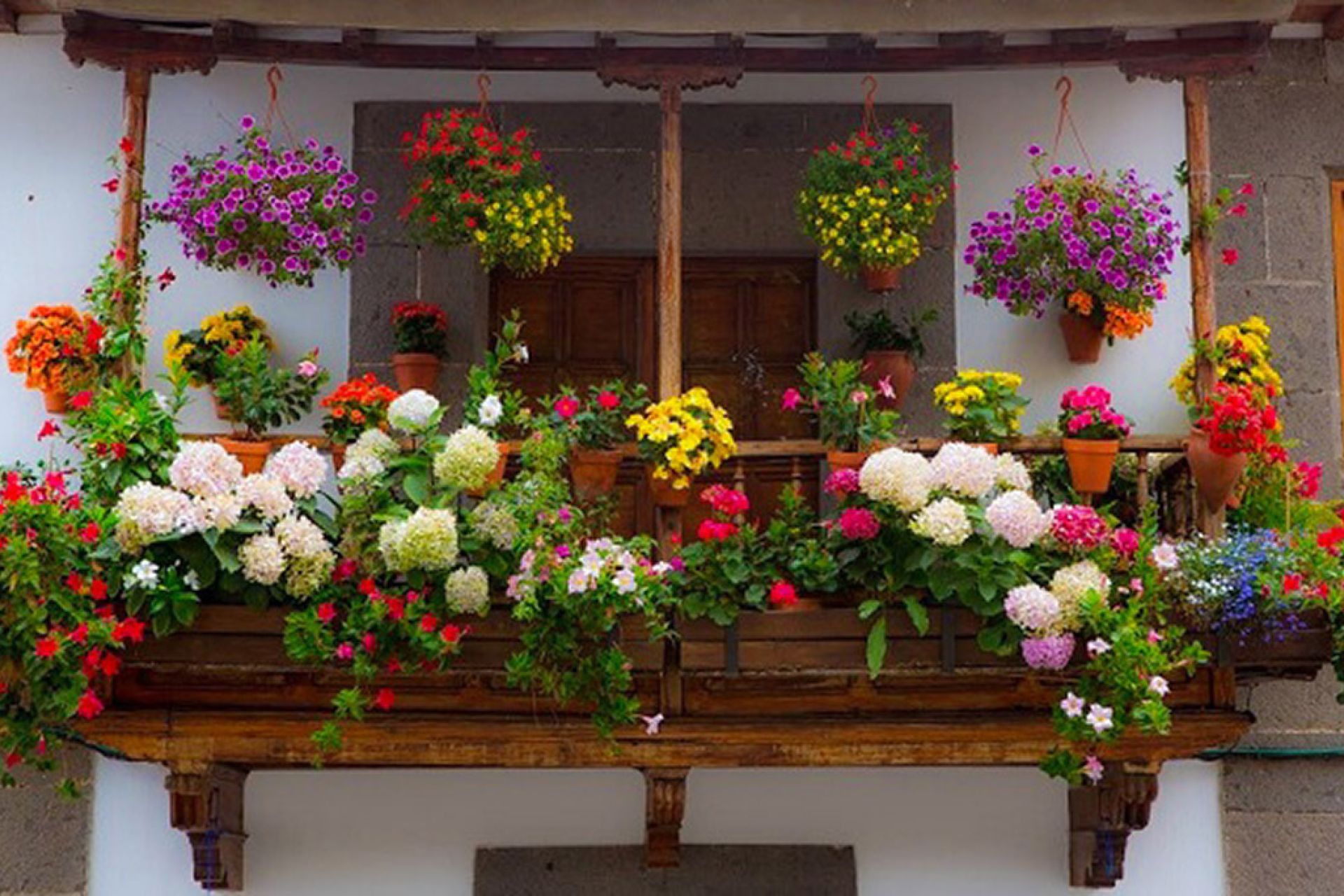 El Ayuntamiento premiará los balcones y ventanas mejor  decorados con flores