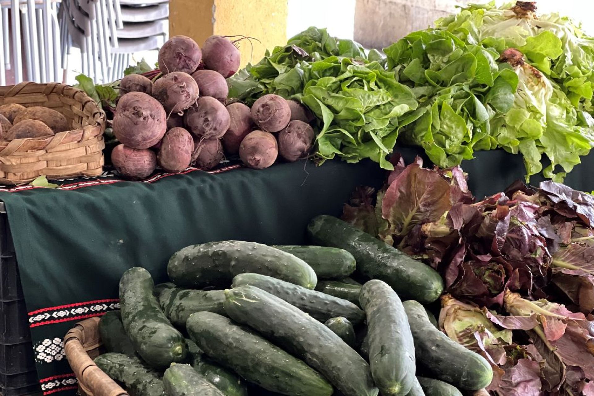 Tomates, judías verdes y guindillas, reinas del mercado