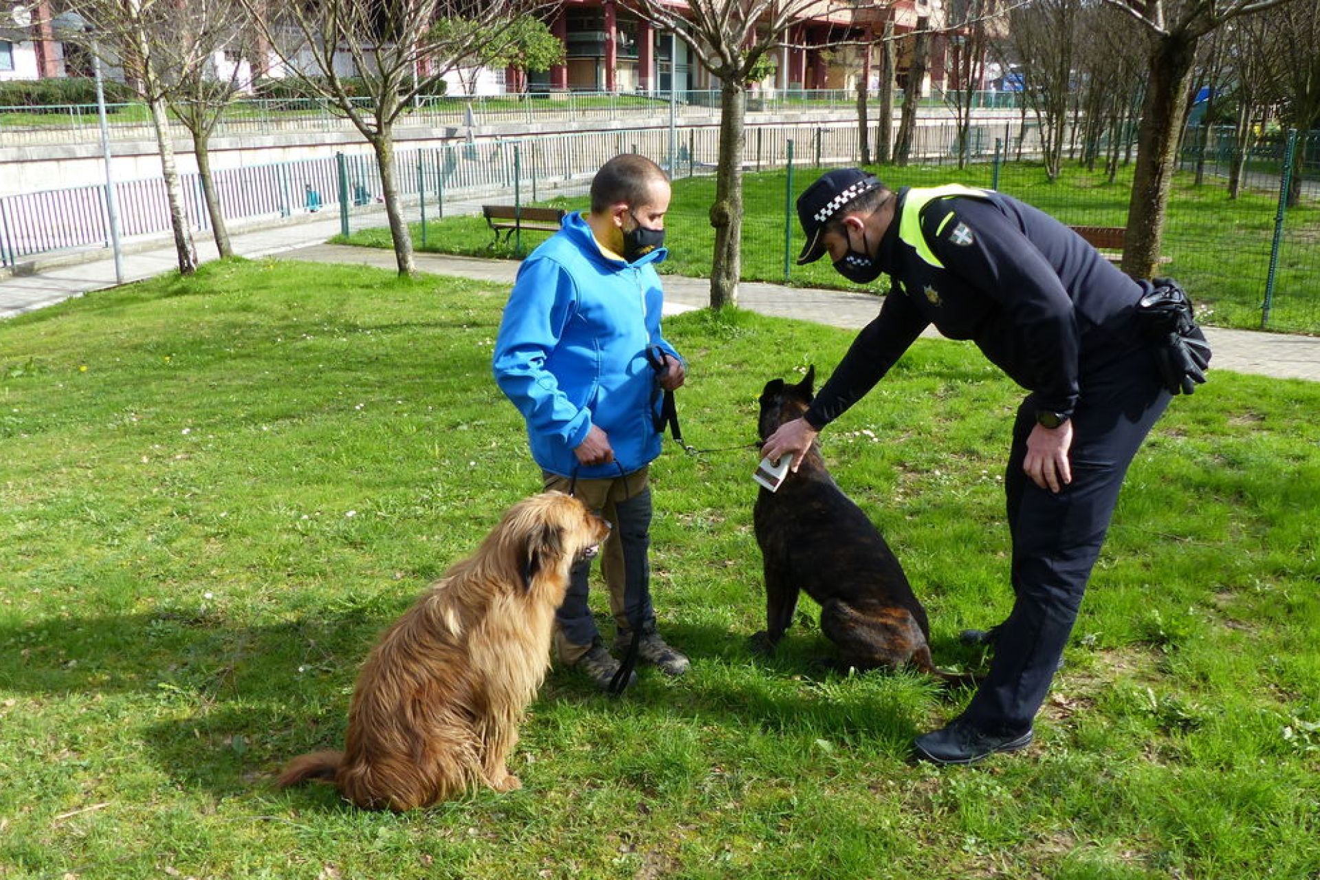 El Ayuntamiento intensificará la vigilancia para la recogida de excrementos caninos