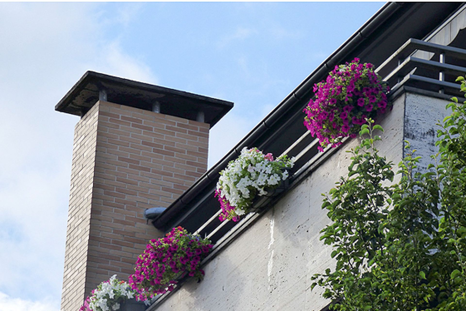 Segunda edición del concurso de decoración con flores de ventanas y balcones del municipio