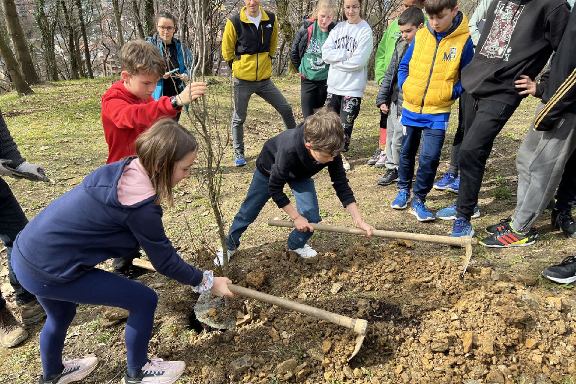 Jóvenes de la localidad participan en la plantación de árboles para concienciar sobre la importancia de la naturaleza