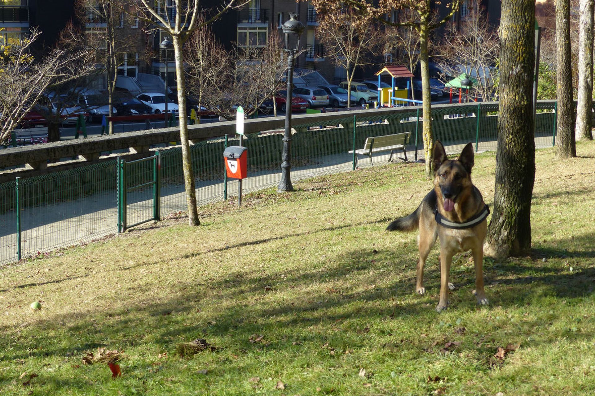 Valoración positiva sobre los parques para perros