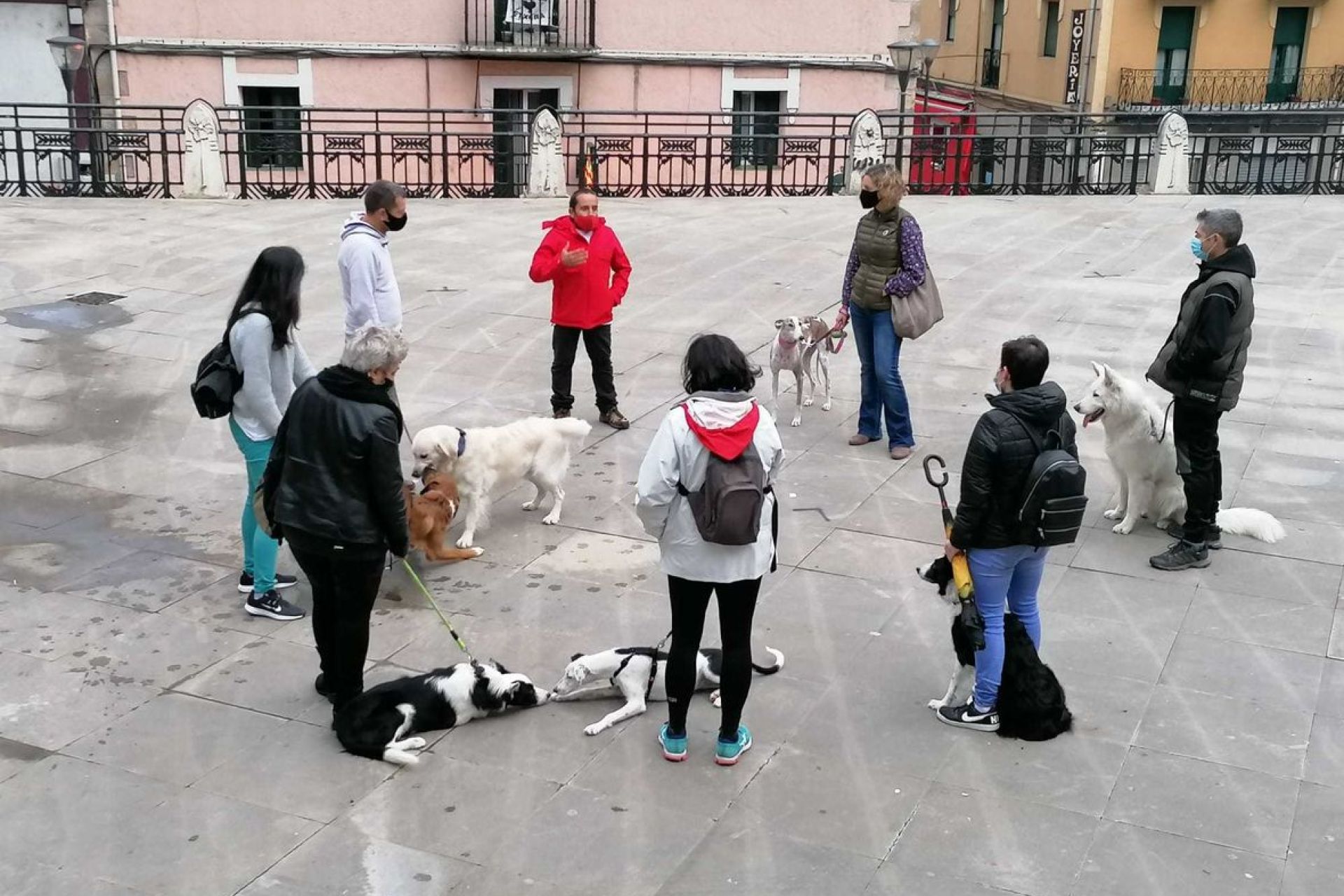 Comienza la segunda edición del curso de formación para propietarios de perros