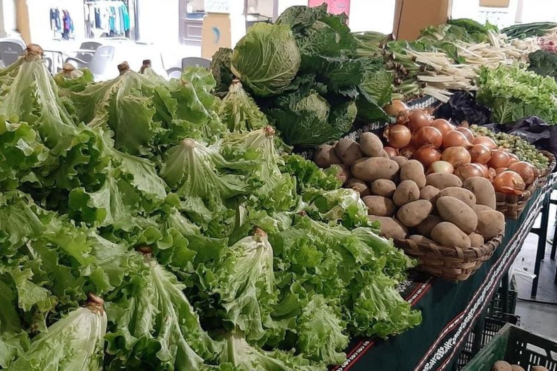 La cosecha de primavera se asoma al mercado extraordinario de mayo